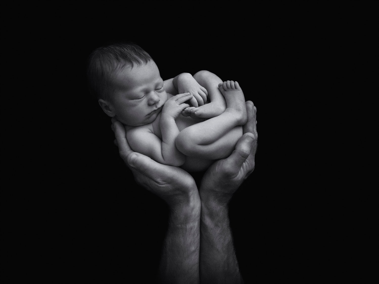 Black and white image of a newborn baby from Sussex baby photographers, curled up and sleeping, gently held in two adult hands against a black background.